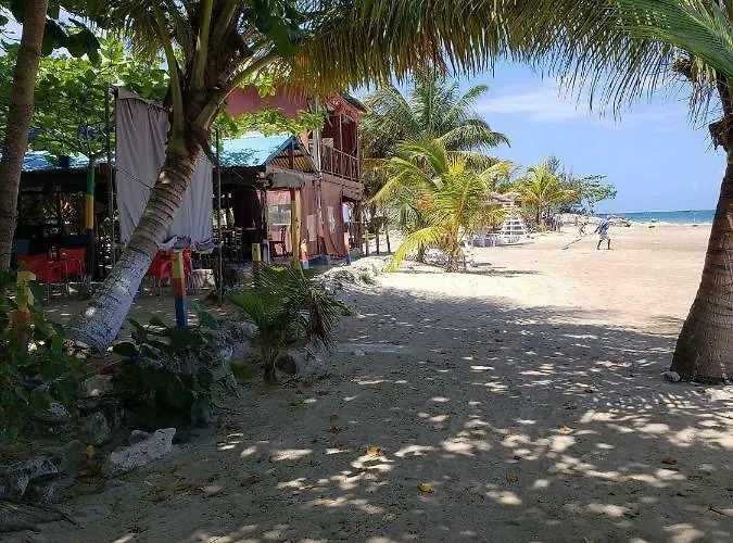 Reef Winds *